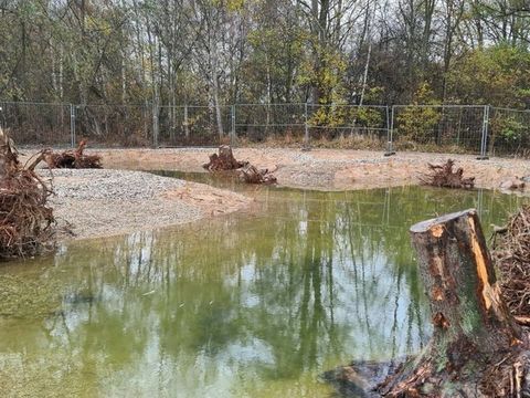 (Bild: Untere Naturschutzbehörde Treptow-Köpenick)