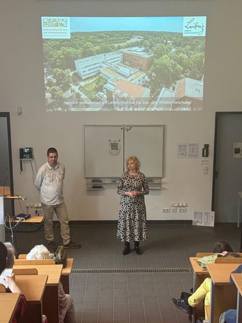 2025-03-26 Seniorenuni