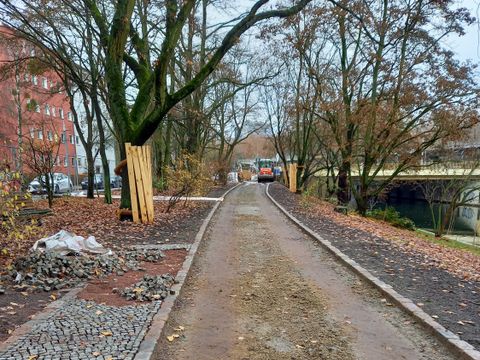 Entsiegelte Fläche am Gehweg Brachvogelstraße