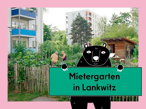 Vorschaubild für das Video Mietergärten: der Garten Mischgemüse in Lankwitz. Abgebildet ist ein Hochbeetgarten zwischen Mietshäusern
