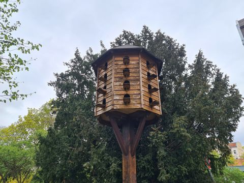 232, Kiezspaziergang Taubenschlag