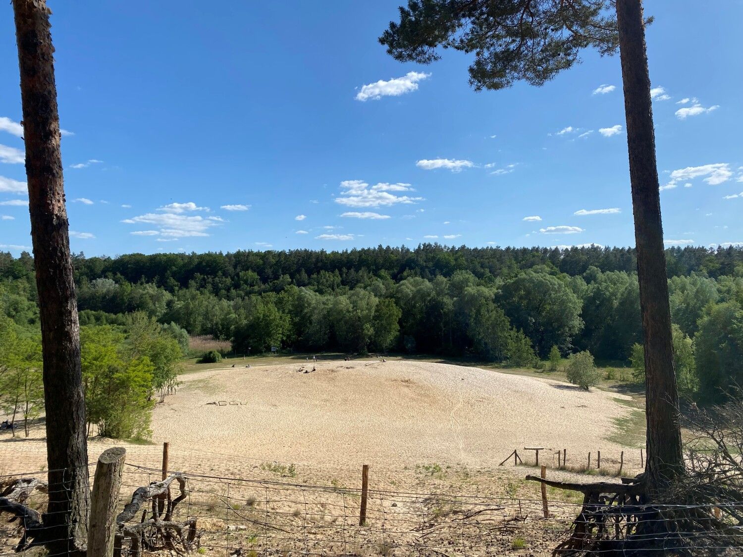 Sandgrube im Jagen 86 des Grunewaldes