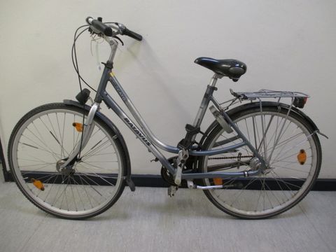 Silber-grau-blaues Damenfahrrad