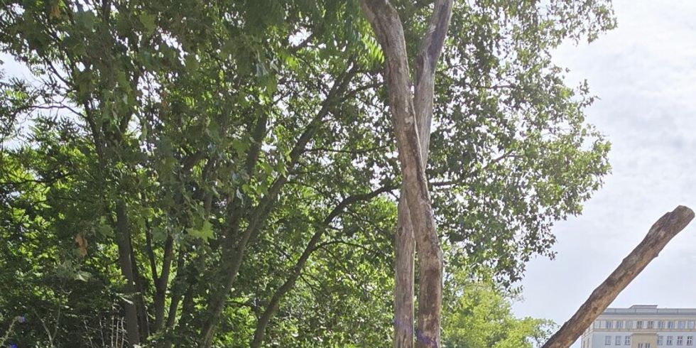 Neugestaltung der Grünanlage am Weidenweg