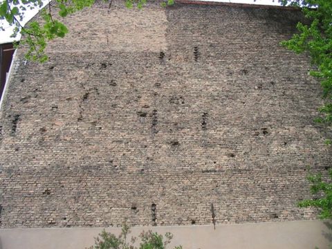 Lebensstätten für Gebäudebrüter