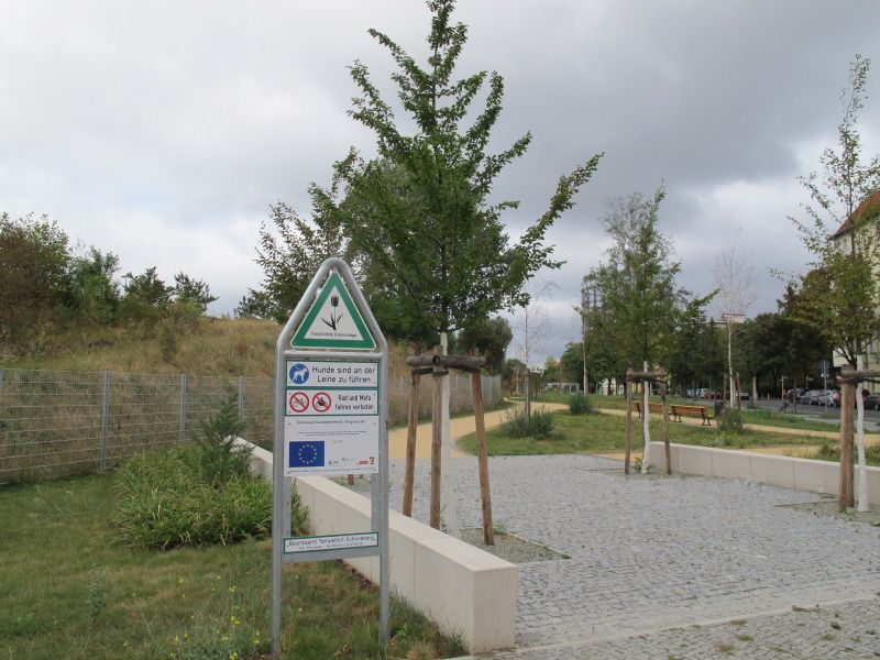 Grünanlage mit Wiese und Bäumen