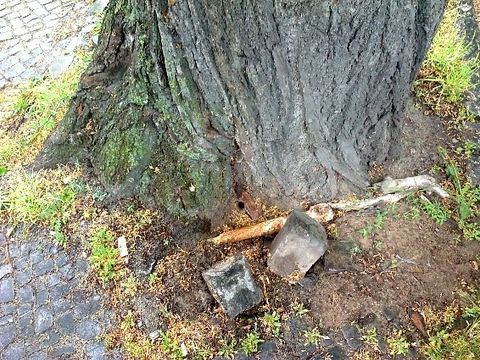 (Bild: BA Treptow-Köpenick)