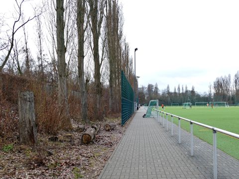 Rundgang zur Biodiversität im Fritz-Schloß-Park