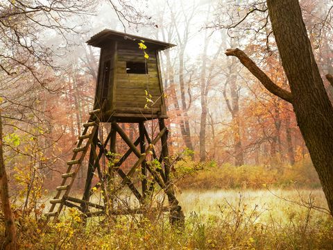 Jagdkanzel im Wald bei Sonnenaufgang
