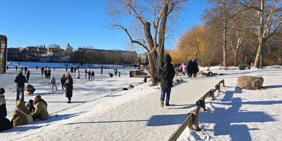 Urbanhafen mit Eisläfern im Winter