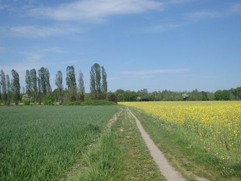 Landwirtschaftsflächen