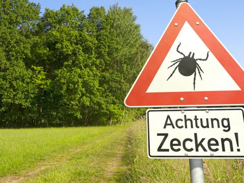 Achtung Zecken Schild