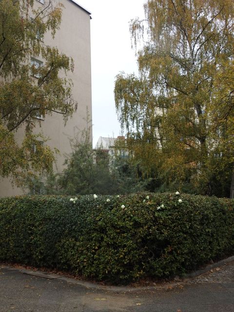 Hausansicht Güntzelstr. 15