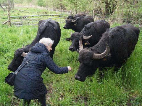Spontane Begrüßung an der Mühlenfeldstraße. (Bild: BA Reinickendorf)