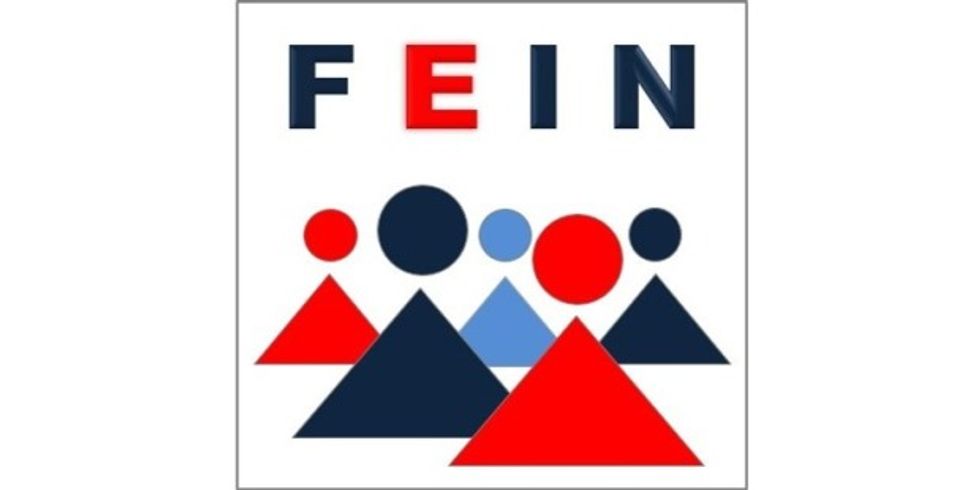 Logo FEIN