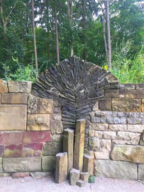 Geologische Wand im Botanischen Volkspark Blankenfelde-Pankow