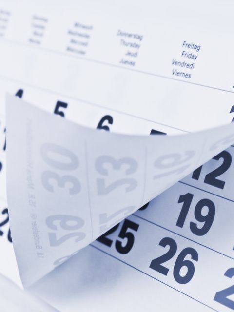 Kalender