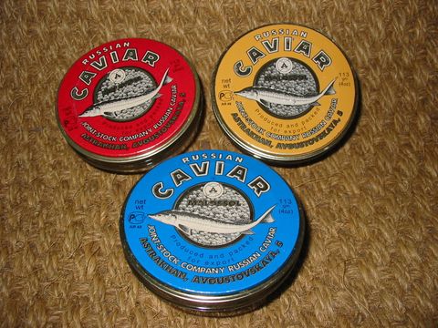 Kaviar vom Stör