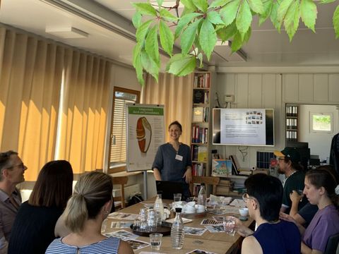 Erwachsene Menschen sitzen um einen Tisch, eine Frau steht vor einem Flipchart
