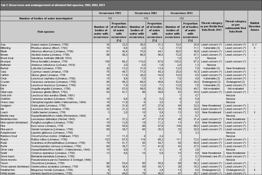 Tab. 1: Occurrences and endangerment of verified fish species in Berlin 1993, 2003, 2013 (Image: Umweltatlas Berlin)