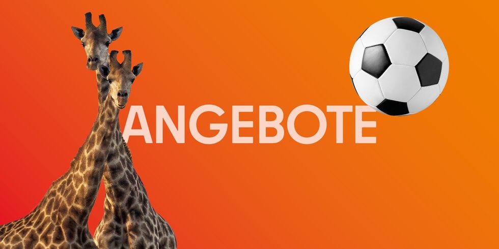 Titelbild Angebote