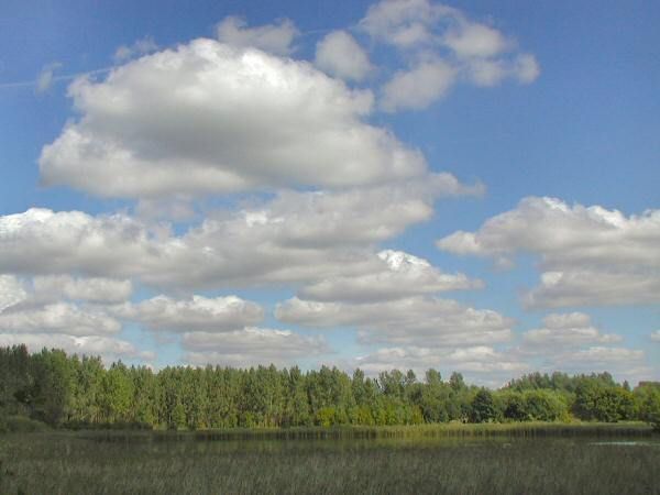 Blick über Ententeich