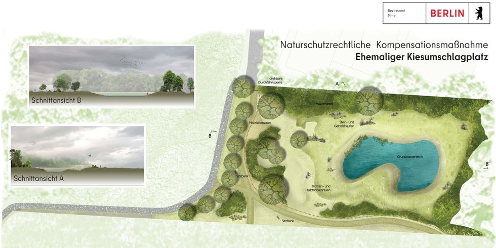 Naturschutzrechtliche Kompensationsmaßnahme ehmaliger Kiesumschlagsplatz 2