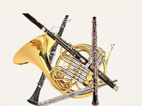 Logo Lateinamerikanisches Musikquintett in Berlin