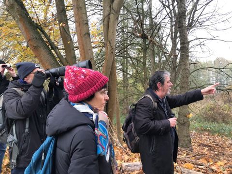 Bird-Watching