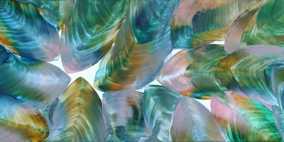 'Verzauberte Farbenwelt' – Ausstellung mit Werken von Gabriele Münster in der Mittelpunktbibliothek „Ehm Welk"