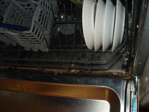 verschmutzter Geschirrspüler