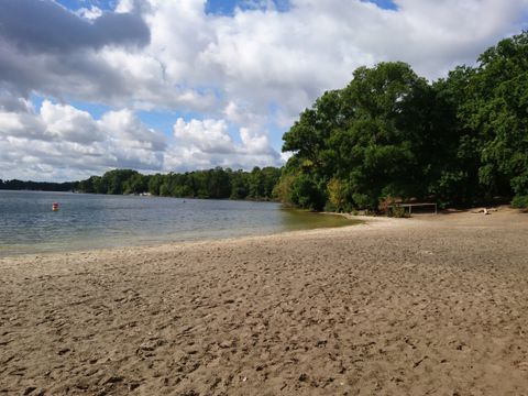 Badestelle gegenüber Scharfenberg am Tegeler See