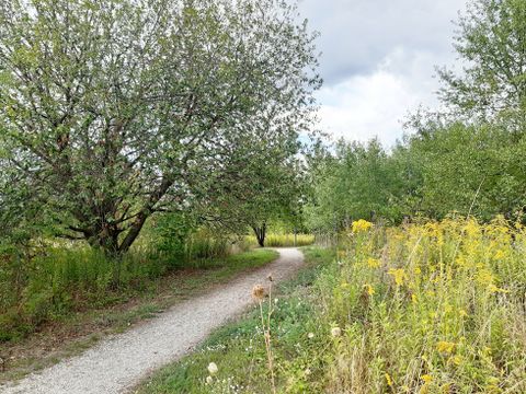 Blick ins Grüne im Landschaftsschutzgebiet