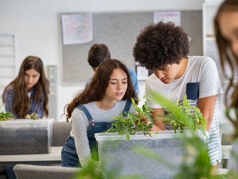 Schüler im Unterricht