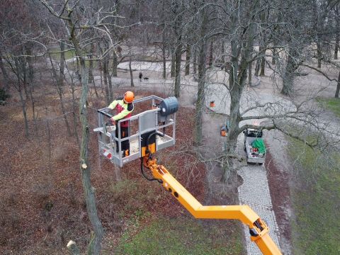 Steiger Baumarbeiten Revier