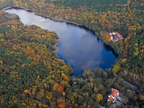 Luftbild Grunewaldsee (Bild: Bruno D'Amicis)