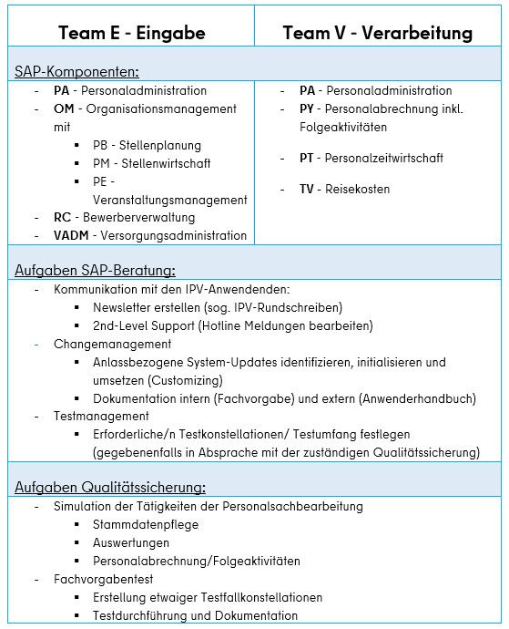 Tabellarische Darstellung der Tätigkeiten der Teams Eingabe und Verarbeitung des DS IPV / SSC