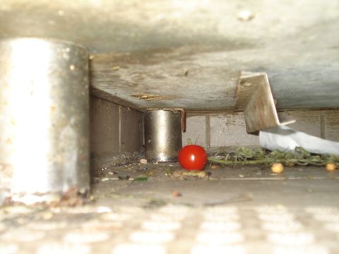 Fußboden in einer Küche