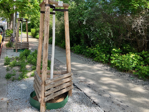 Baumpflanzung Straßenabum Goslarer Platz