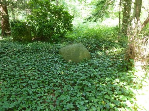 Findling für Walter und Erna Simons, 9.7.2013, Foto: KHMM