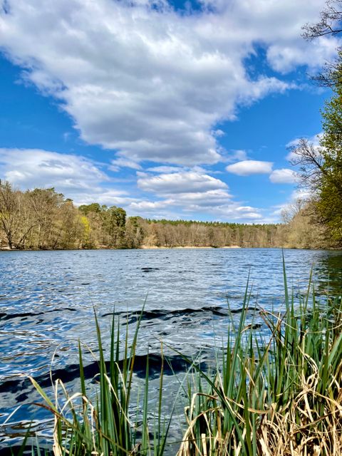 Krumme Lanke (April 2022)