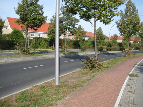 Straßenbegleitgrün