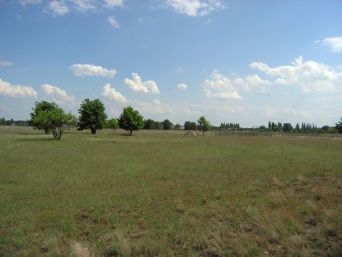 Ehemaliges Flugfeld Johannisthal (Bild: SenUMVK)