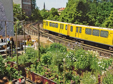 U-Bahn an Dachbegrünung