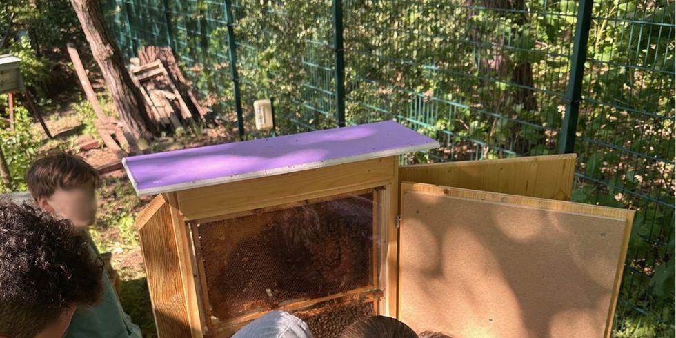 Bienenlehrgarten - Schulungsmaterialien