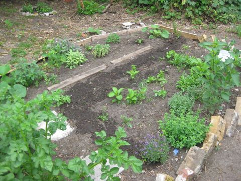 Gemeinschaftsgarten Biesdorf