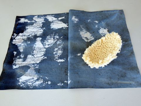 (Bild: Helga Schuhr)