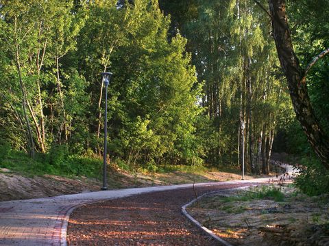Weg im Wald entlang