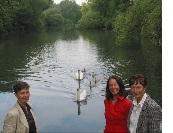 Blick auf den Fennsee