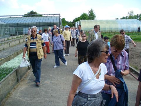 Zwischen den Gewächshäusern, Foto: KHMM